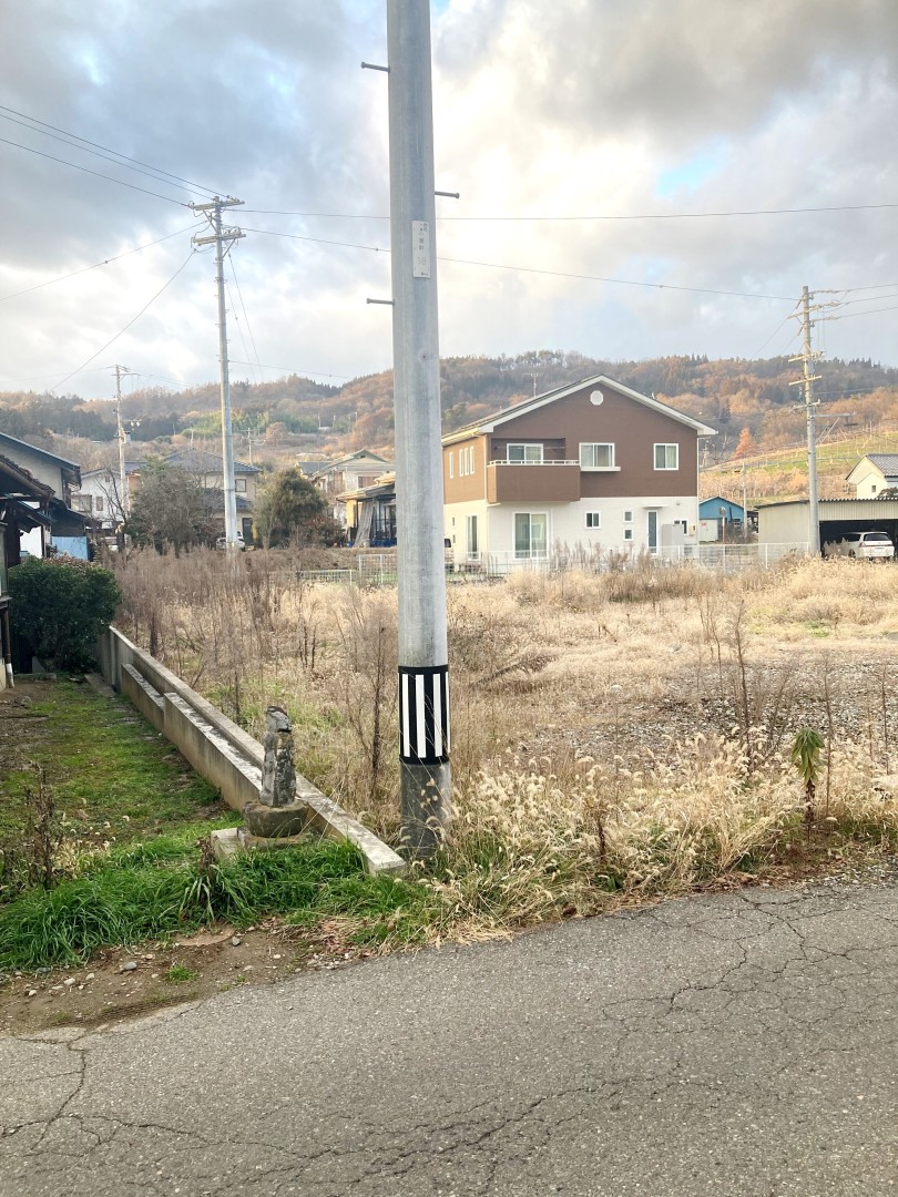 敷地東側から敷地内を望む